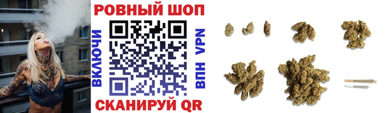 Сколько стоит Горняк АМФ  Codein  Альфа ПВП  МЕФ  ГАШ  Конопля  Галлюциногенные грибы 