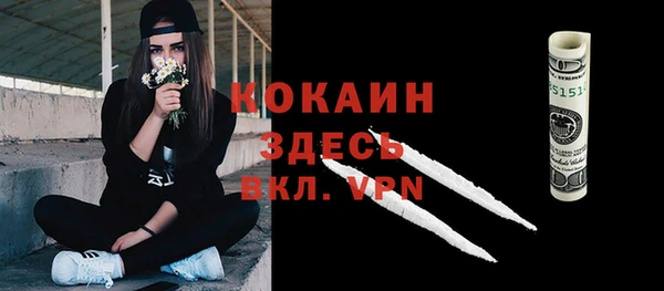 молекула духа Вязьма