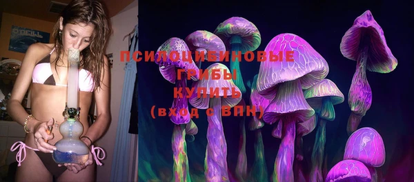 молекула духа Вязьма