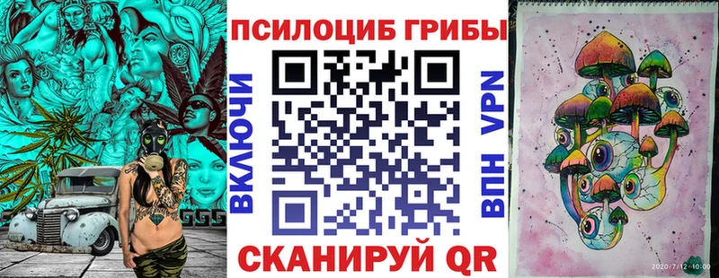 Псилоцибиновые грибы Psilocybine cubensis Горняк